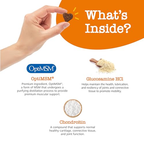 Bike Chain Keeper Tool for Dog Owners