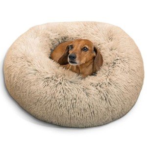 Calming Donut Dog & Cat Bed in Taupe 23
