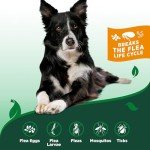 Plant-Based Flea & Tick Spray for Dogs
