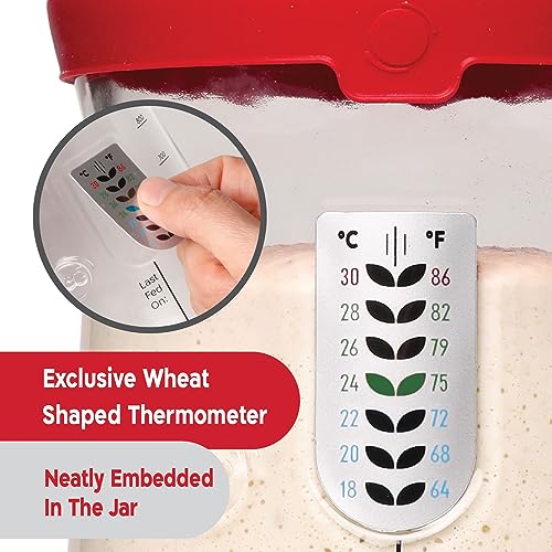 KneadAce Pro Sourdough Starter Kit with Jar