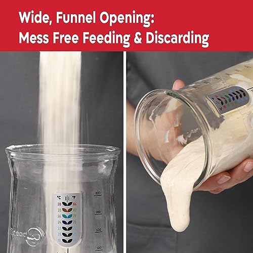 KneadAce Pro Sourdough Starter Kit with Jar