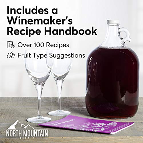 Deluxe 1 Gallon Fruit Wine Making Kit