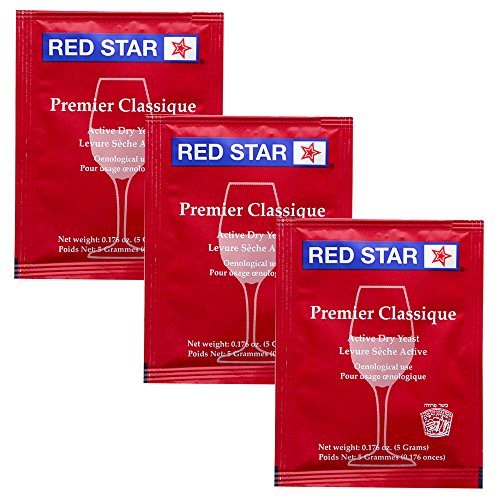 Upgraded 1 Gallon Fruit Wine Making Kit