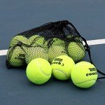 Teloon 12-Pack Regular Tennis Balls