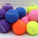 SHYUJAJIE 20-Pack High-Elasticity Tennis Balls