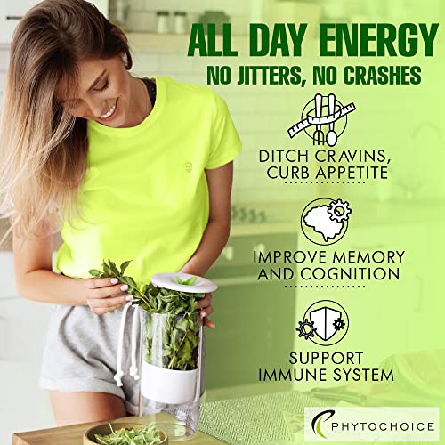 Green Tea Extract - Natural Weight Loss Pills