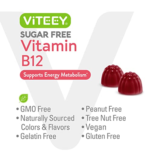 Vegan Raspberry B12 Gummies for Energy Support
