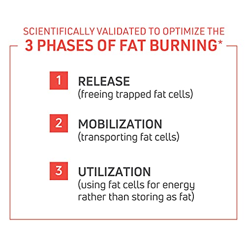 ThermoDyne™ Fat Burner: Boost Metabolism, Burn Calories, Lean Muscle