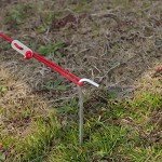12 Aluminum Tent Pegs with Hooks - 7