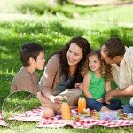 17 Pack Heavy Duty Metal Tent Stakes