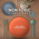 Eco-Friendly Wheat Straw Dinnerware Set for Camping