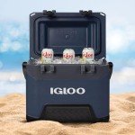 Igloo BMX Rugged 25 QT Cooler - Blue