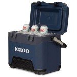 Igloo BMX Rugged 25 QT Cooler - Blue