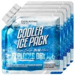 Everlasting Ice RX Reusable Ice Packs (4 Pack)