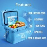 Everlasting Ice RX Reusable Ice Packs (4 Pack)