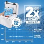 Everlasting Ice RX Reusable Ice Packs (4 Pack)