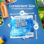 Everlasting Ice RX Reusable Ice Packs (4 Pack)