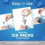 Everlasting Ice RX Reusable Ice Packs (4 Pack)