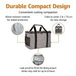 Amazon Basics Insulated Cooler Bag - 50 Can Capacity
