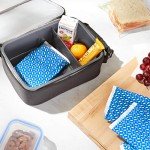 Amazon Basics 4-Pack Reusable Ice Packs