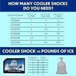 Long-Lasting Cooler Shock Ice Packs for Camping