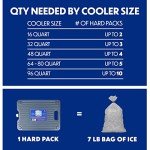 Large Reusable Ice Packs for Coolers, 2 Pack