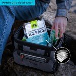 Titan Deep Freeze Ice Pack - 2 Pack