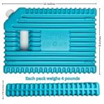 Arizona Ice Industrial Ice Packs - Two Pack