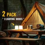 HOKOILN 2 Pack Battery Powered LED Camping Lights