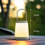 HOKOILN 2 Pack Battery Powered LED Camping Lights