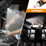 EverBrite 500 Lumens Rechargeable LED Flashlight