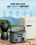 Portable 300W Power Station for Camping and Emergencies