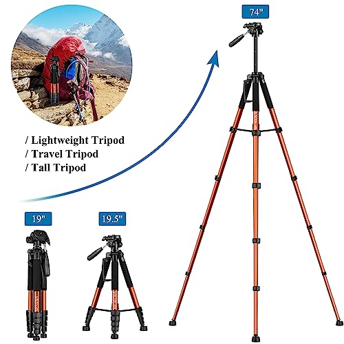 Lightweight 74" Camera Tripod for DSLR/SLR