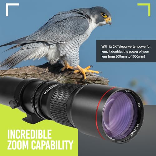 Canon Telephoto Lens 500mm/1000mm f/8
