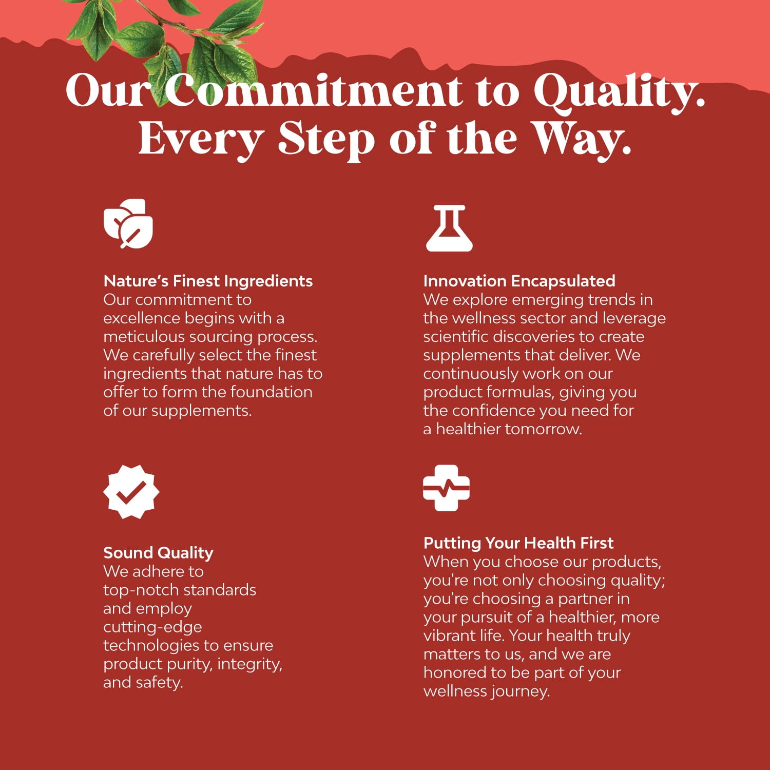 Biotin Vitamins for Hair Growth and Health