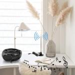 Bose FM Radio Antenna Amplified for Home Stereo