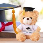 Personalized Graduation Teddy Bears - 2025 Gifts