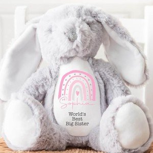 Personalized Big Sister Teddy Bear Gift