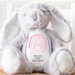 Personalized Big Sister Teddy Bear Gift
