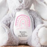 Personalized Big Sister Teddy Bear Gift