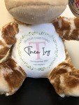 Custom Giraffe Teddy Bear for Christening Gift