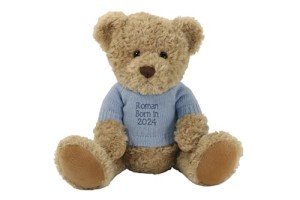 Custom Personalized Teddy Bear with Jumper - 25cm