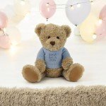 Custom Personalized Teddy Bear with Jumper - 25cm