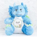 Personalized Teddy Bear - Custom Keepsake Plush Toy