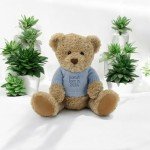 Custom Personalized Teddy Bear with Jumper - 25cm