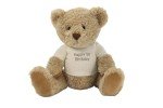 Custom Personalized Teddy Bear with Jumper - 25cm