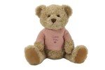 Custom Personalized Teddy Bear with Jumper - 25cm