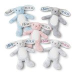Personalized Blue Bunny Teddy Bear Gift for Babies