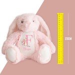 Personalized Bunny Rabbit Name Gift for Baby Girl