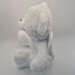 Custom Memorial Teddy Bear with Photo & Text